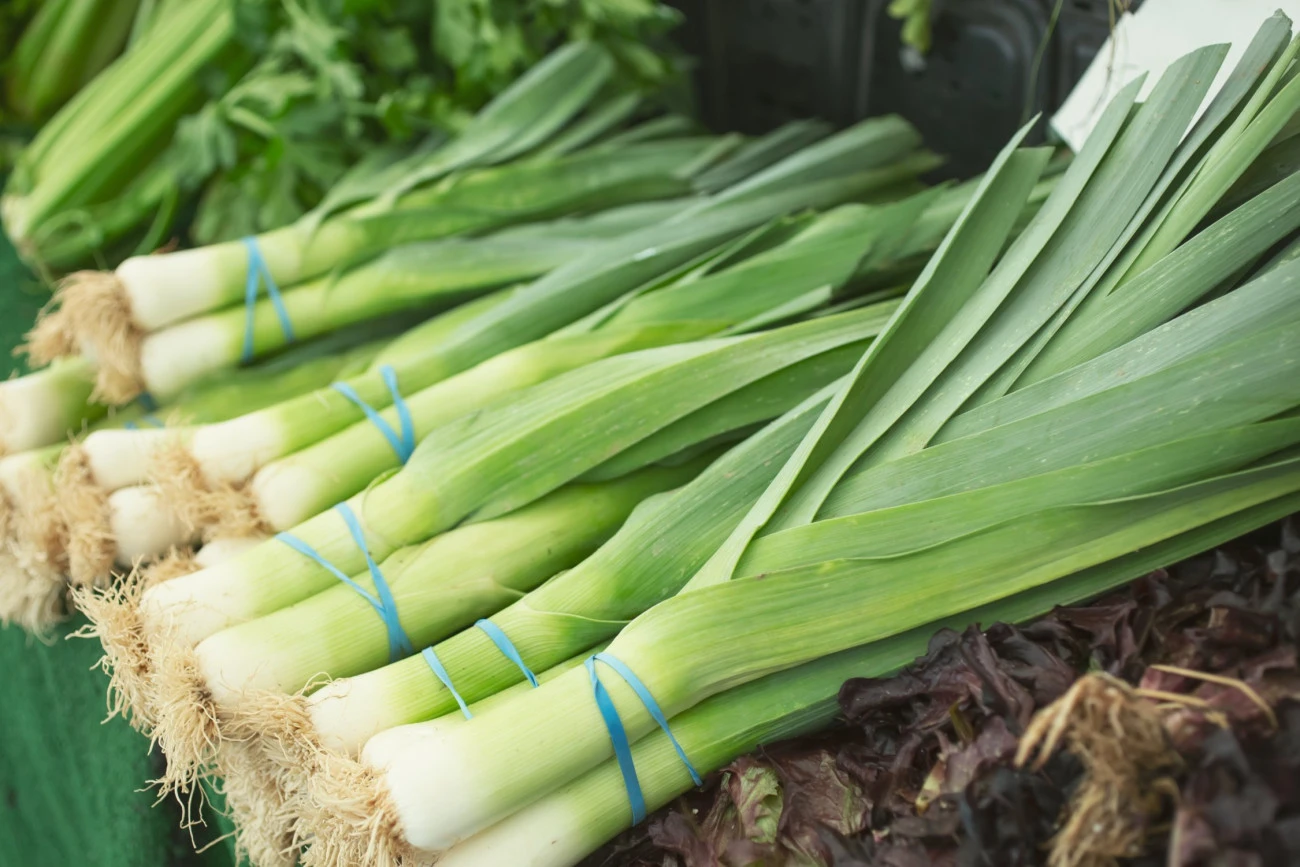 Poireaux, choux… quand les prix bas cachent autre chose Agriculture Agroalimentaire 