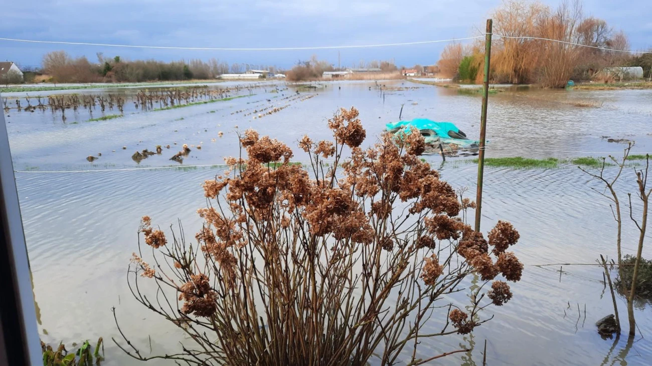 L'incurie du gouvernement à l'œuvre Environnement 