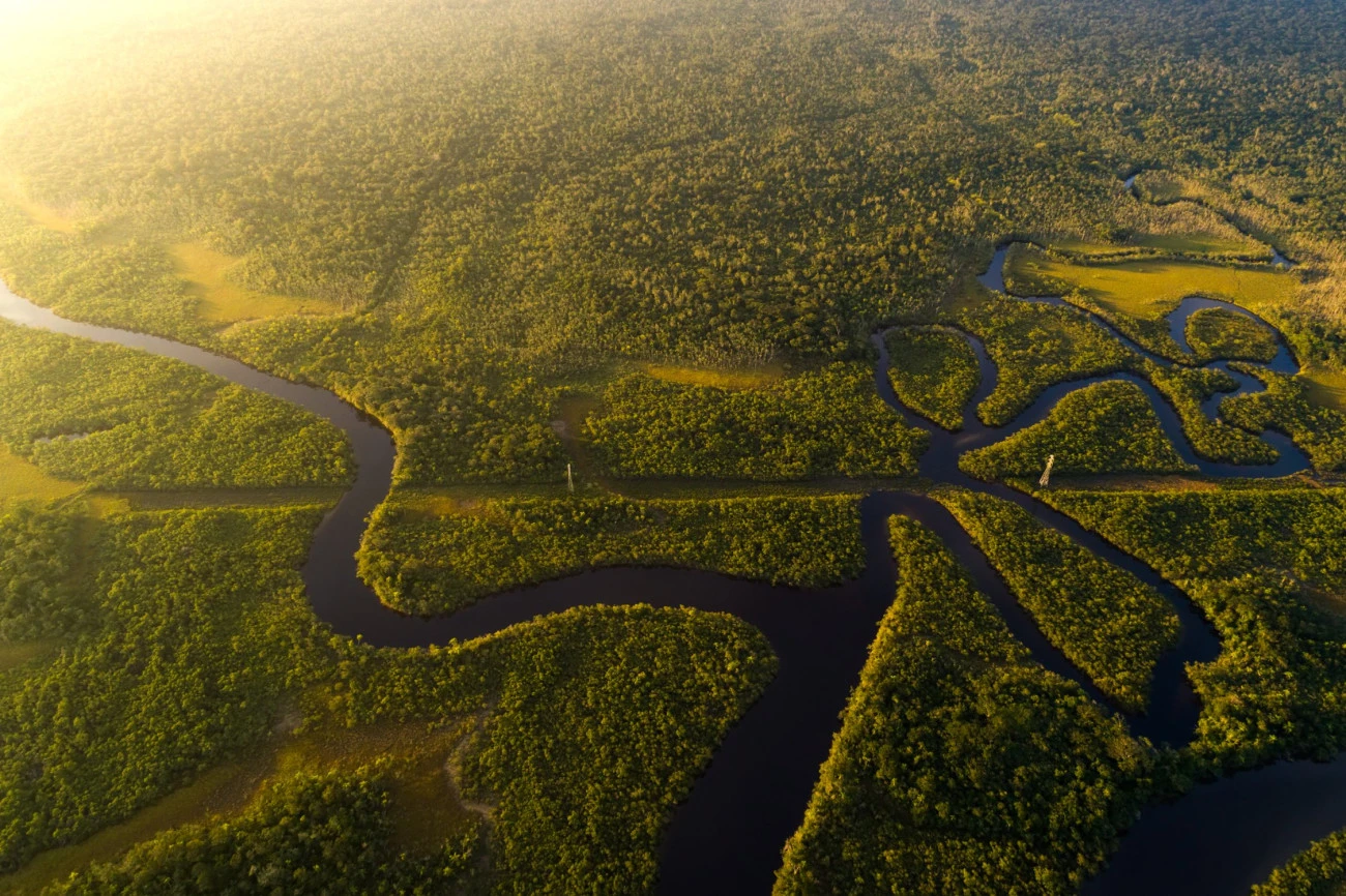 Un Fonds pour les forêts tropicales éternelles comme levier financier inédit pour la COP30 BRICS Environnement COP30 