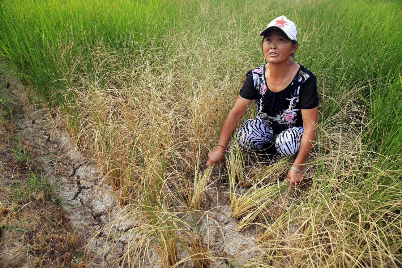 La région du Guangxi ravagée par huit mois de sécheresse Chine Environnement 