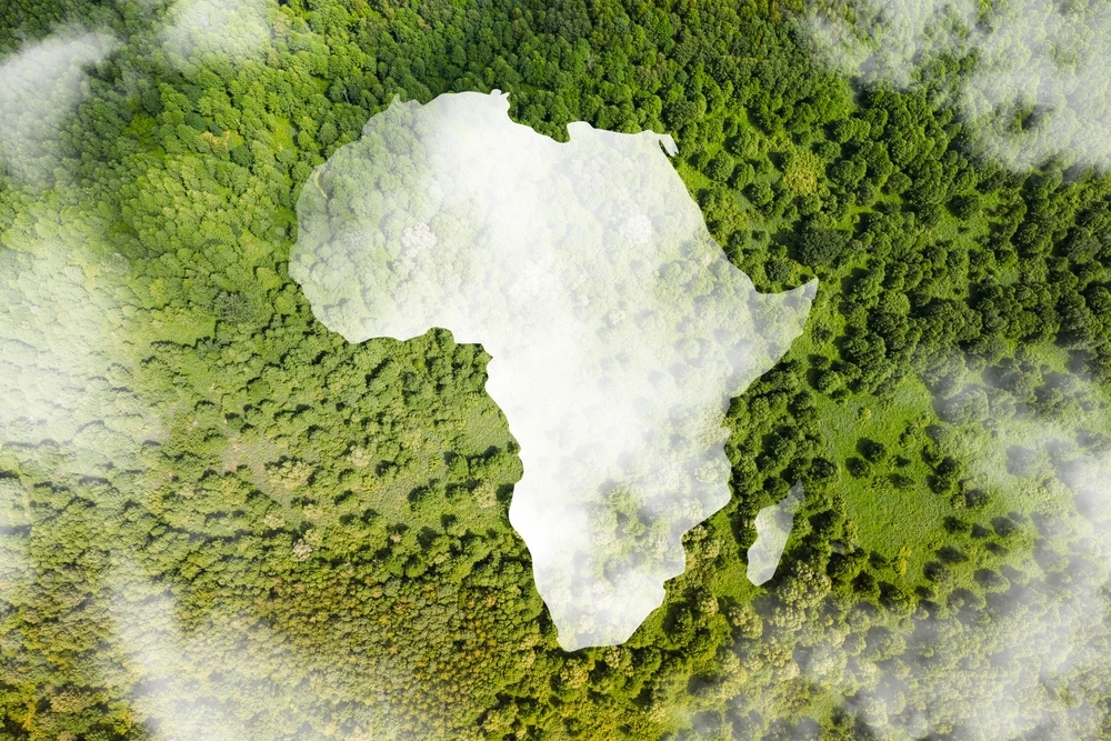 Qu'est-ce que l'agenda 2063 de l'Union africaine ? Afrique Union africaine 