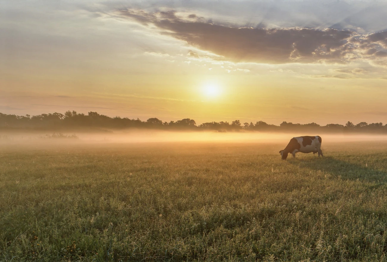Le milliardaire du bocage de Christian Planchais À lire 