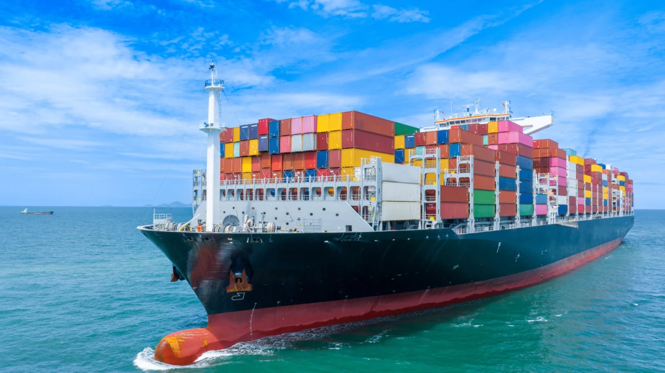 Traités de libre-échange, sur quoi reposent-ils ? Commerce Mercosur 