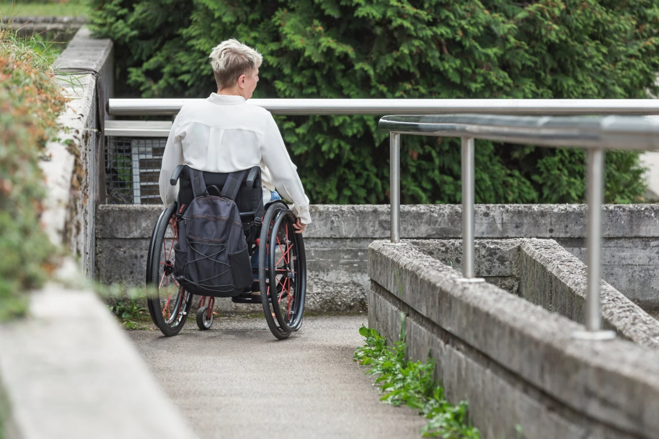 Handicap et précarité, le système français à l'épreuve des faits Santé Emploi 
