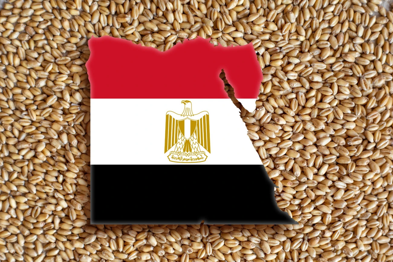 Égypte, l'obsession de la facture alimentaire Russie Agriculture BRICS Commerce Égypte Céréales 