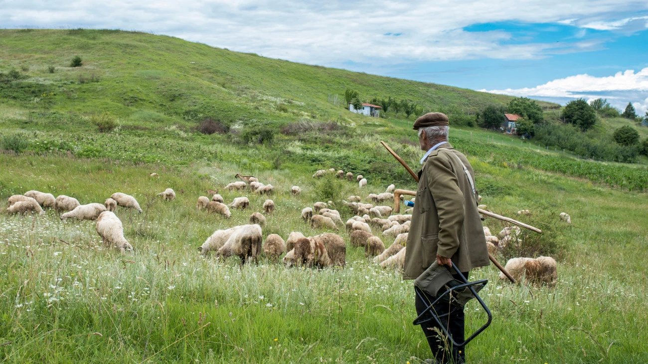 De la toison au textile Industrie Histoire Révolution industrielle 